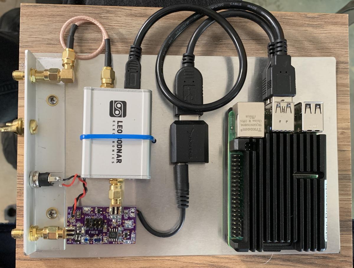 NEGG Grape 1-DRF Photo.jpeg